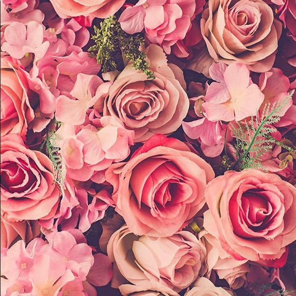 silverrose1414